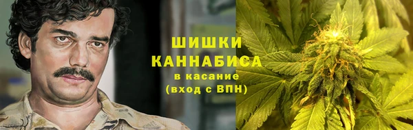 первитин Богородицк