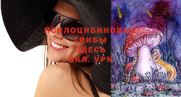 первитин Богородицк
